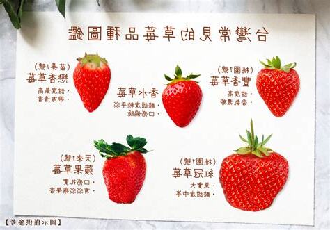 草莓 屬性